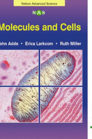 Cover of Molecules and Cells