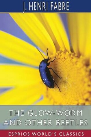 Cover of The Glow-Worm and Other Beetles (Esprios Classics)