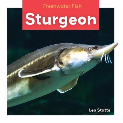 Book cover for Sturgeon