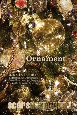 Book cover for Ornament