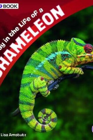 Cover of A Day in the Life of a Chameleon: a 4D Book (A Day in the Life)