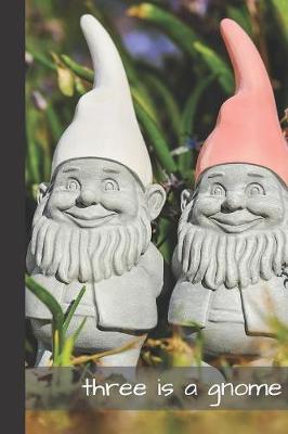 Book cover for Three is a gnome