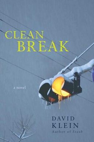 Cover of Clean Break