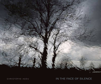 Cover of In the Face of Silence