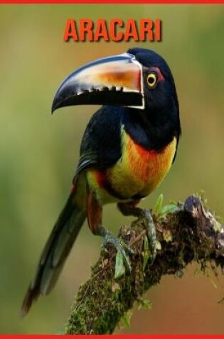 Cover of Aracari