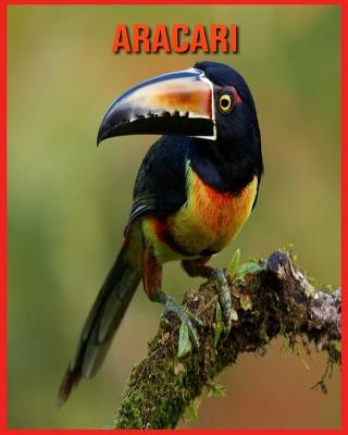 Book cover for Aracari