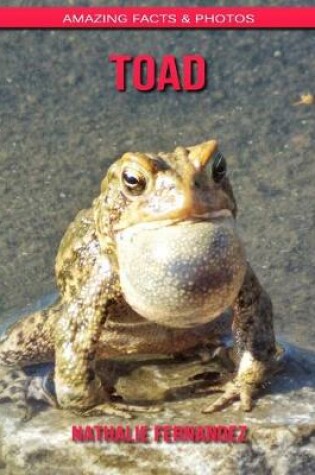 Cover of Toad