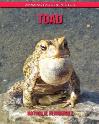 Book cover for Toad