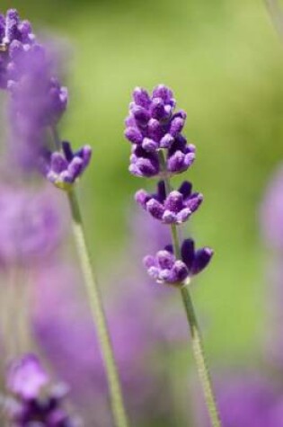 Cover of Mind Blowing Lavender Journal