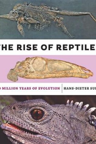 Cover of The Rise of Reptiles