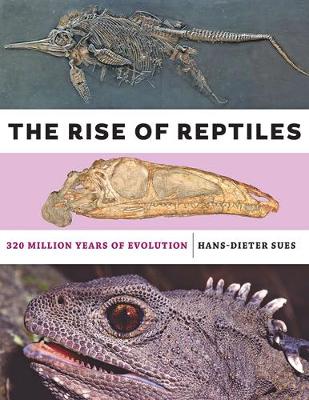 Book cover for The Rise of Reptiles