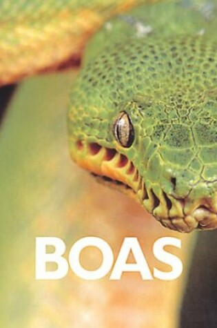 Cover of Boas