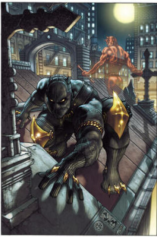 Cover of Black Panther: The Man Without Fear Volume 1