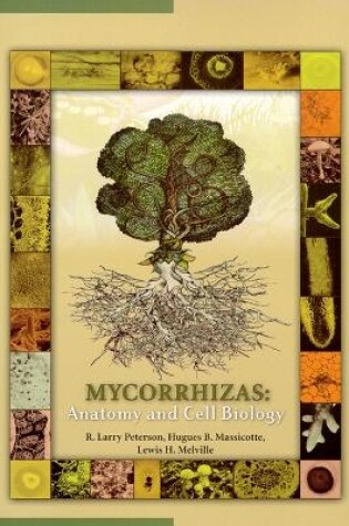 Cover of Mycorrhizas