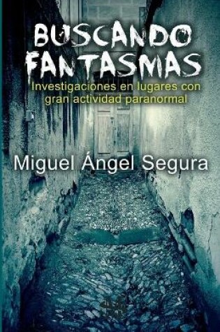 Cover of Buscando Fantasmas