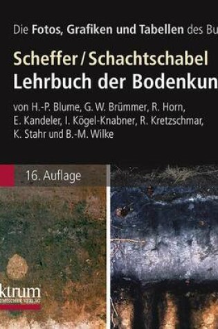 Cover of Die Abbildungen Des Buches: Scheffer/Schachtschabel: Lehrbuch Der Bodenkunde