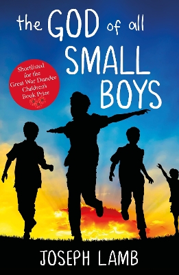 Book cover for The God of All Small Boys