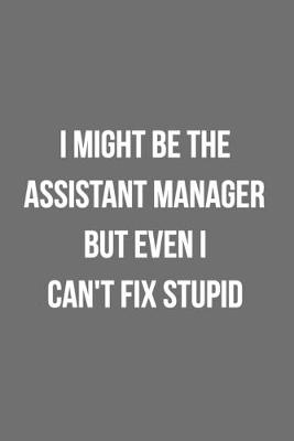 Book cover for I Might Be The Assistant Manager But Even I Can't Fix Stupid