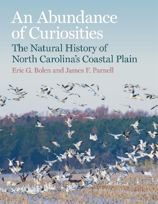 Cover of An Abundance of Curiosities