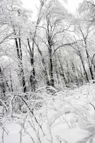 Cover of A Frosty White Forest on a Snowy Winter Day Nature Journal