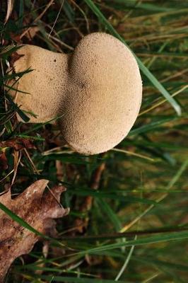 Book cover for Puffing Bovist Mushroom Journal