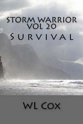Cover of Storm Warrior Vol 20