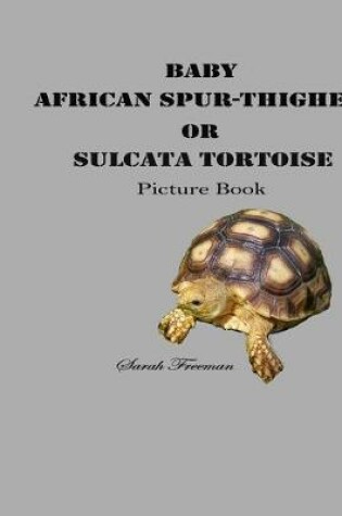 Cover of Baby African Spur-Thighed or Sulcata Tortoise Picture Book