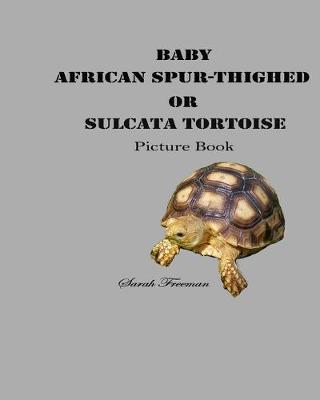 Cover of Baby African Spur-Thighed or Sulcata Tortoise Picture Book