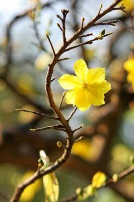 Book cover for Golden Yellow Flower Blooming on a Branch Journal