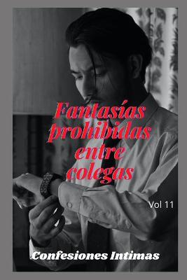 Book cover for fantasías prohibidas entre colegas (vol 11)