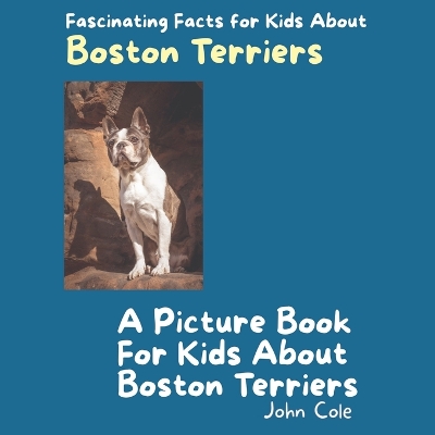 Book cover for A Picture Book for Kids About Boston Terriers