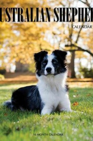 Cover of Australian Shepherd Calendar 2017