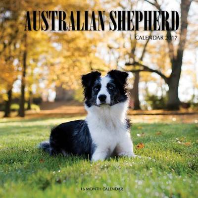 Book cover for Australian Shepherd Calendar 2017