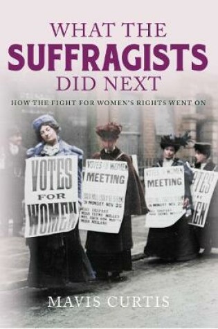 Cover of What the Suffragists Did Next