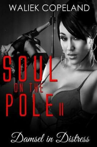 Cover of Soul on the Pole 2