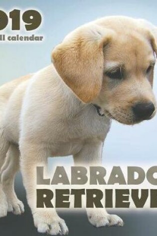 Cover of Labrador Retriever 2019 Mini Wall Calendar