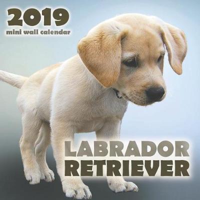 Book cover for Labrador Retriever 2019 Mini Wall Calendar