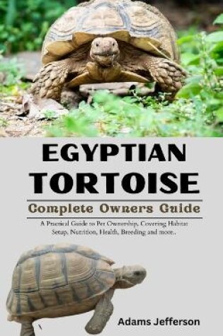 Cover of Egyptian Tortoise