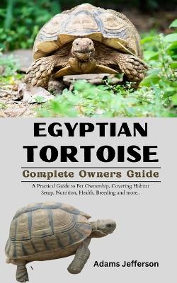 Book cover for Egyptian Tortoise