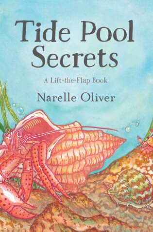 Cover of Tide Pool Secrets