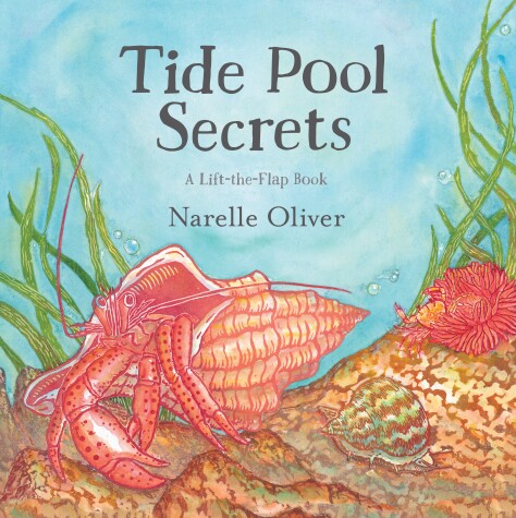 Book cover for Tide Pool Secrets