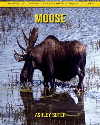 Book cover for Moose