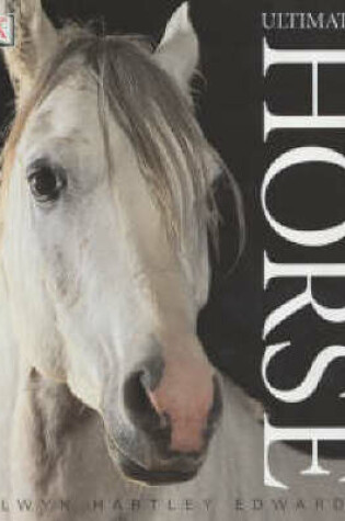 Cover of Ultimate Horse