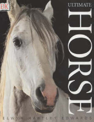 Book cover for Ultimate Horse