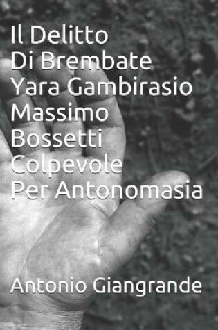 Cover of Il Delitto Di Brembate Yara Gambirasio Massimo Bossetti Colpevole Per Antonomasia