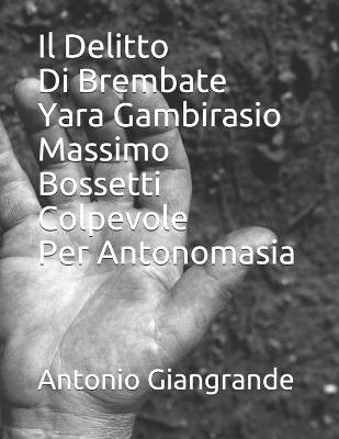 Cover of Il Delitto Di Brembate Yara Gambirasio Massimo Bossetti Colpevole Per Antonomasia
