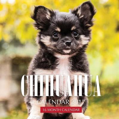 Book cover for Chihuahua Calendar 2017