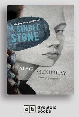 Book cover for A Single Stone