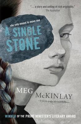 Book cover for A Single Stone