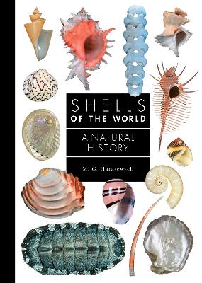 Cover of Shells of the World